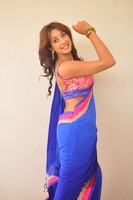 Sanjana Spicy Saree Photos